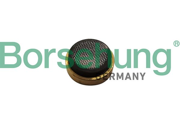 Sieb, Ölpumpensaugrohr BORSEHUNG B11897
