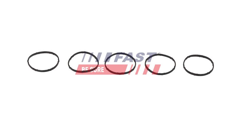 Dichtung, Lader FAST FT13435