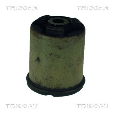 Lager Achskörper Hilfsrahmen TRISCAN 8500 24821