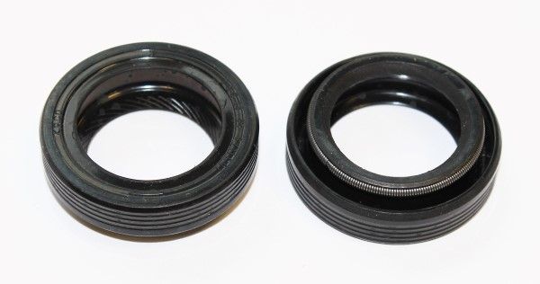 Dichtring ELRING 750.859