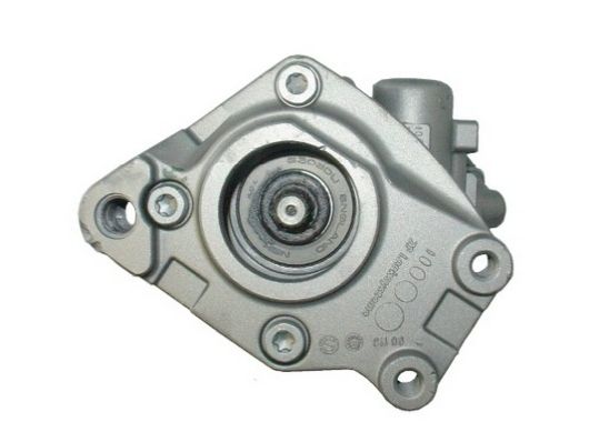 Hydraulikpumpe, Lenkung SPIDAN 54338