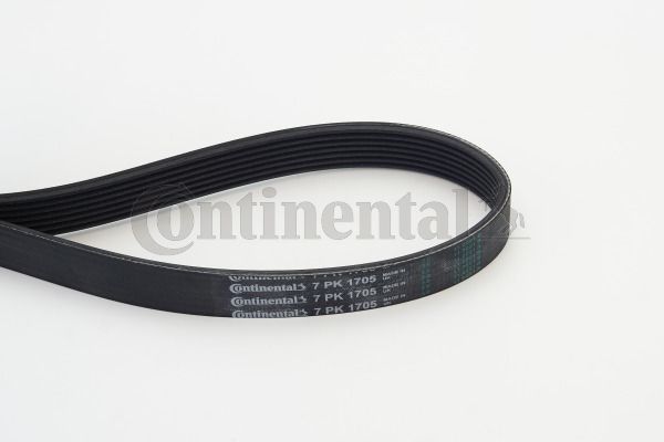 Keilrippenriemen CONTINENTAL CTAM 7PK1705