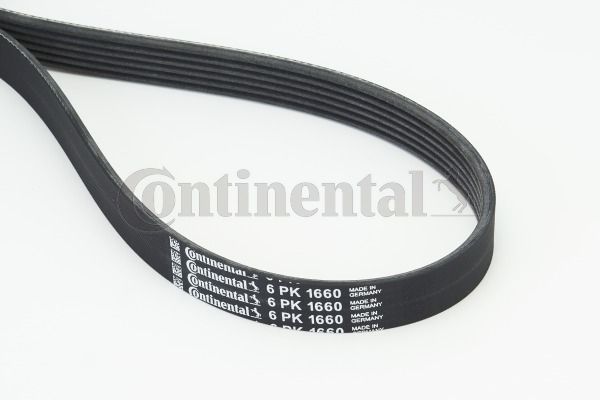 Keilrippenriemen CONTINENTAL CTAM 6PK1660