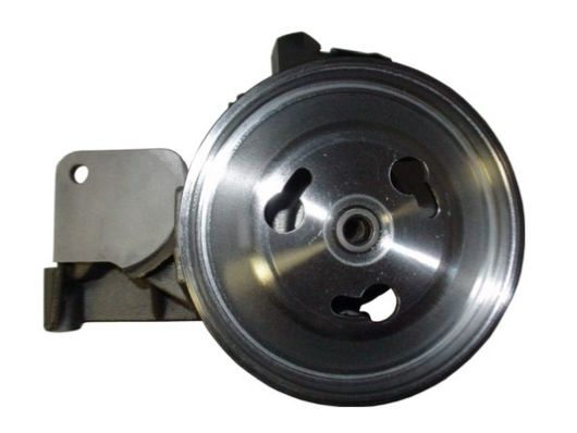 Hydraulikpumpe, Lenkung SPIDAN 54174
