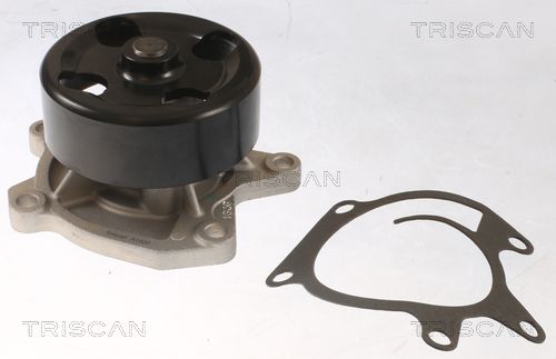 Wasserpumpe TRISCAN 8600 25097