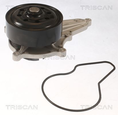 Wasserpumpe TRISCAN 8600 40021