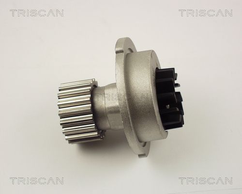 Wasserpumpe TRISCAN 8600 21004