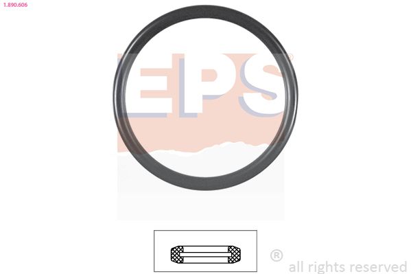 Dichtung, Thermostat EPS 1-890-606
