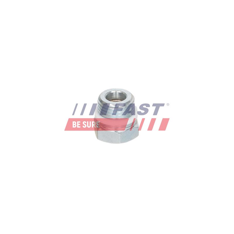 Unterdruckpumpe, Bremsanlage FAST FT11861