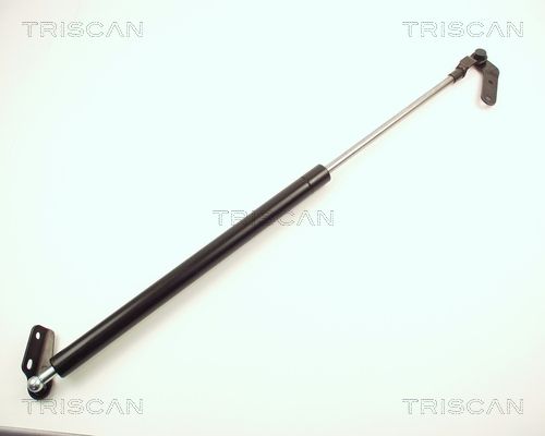 Heckklappendämpfer TRISCAN 8710 13236
