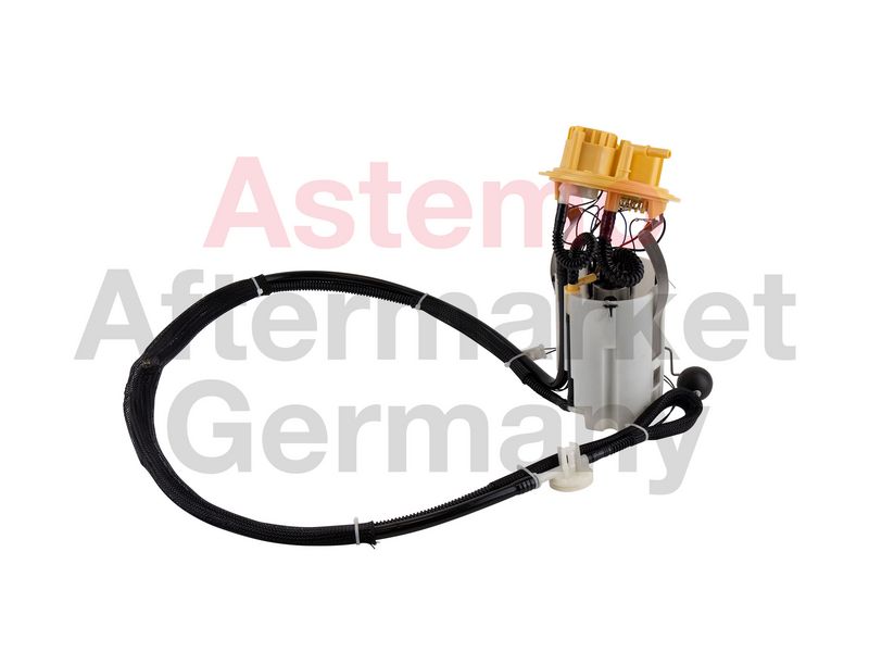Kraftstoff-Fördereinheit HITACHI 2502729