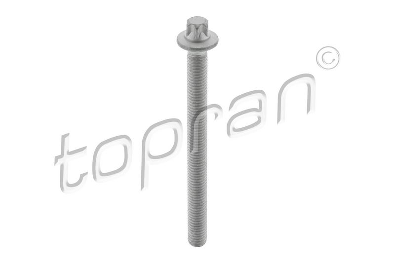 Schraube, Einspritzdüsenhalter TOPRAN 505 061