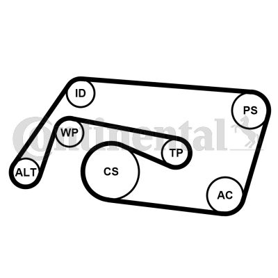 Keilrippenriemensatz CONTINENTAL CTAM 6PK2260K2