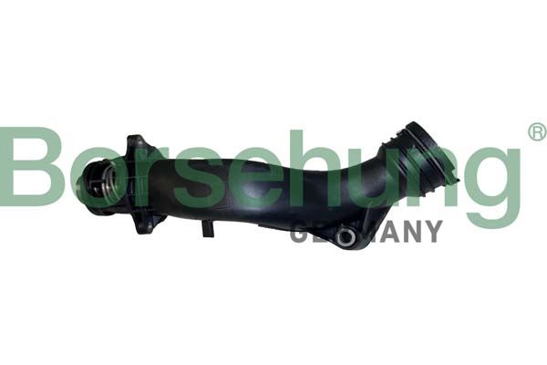 Thermostat, Kühlmittel BORSEHUNG B10560