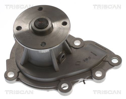 Wasserpumpe TRISCAN 8600 43032