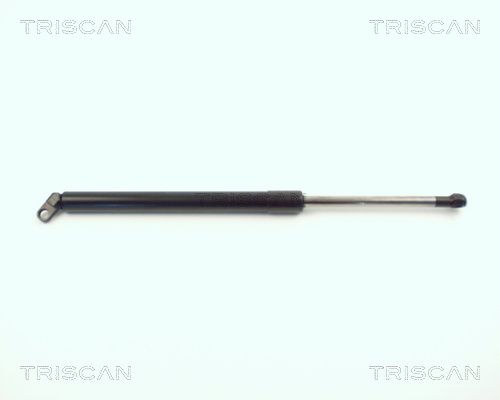 Heckklappendämpfer TRISCAN 8710 11209