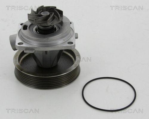 Wasserpumpe TRISCAN 8600 10080