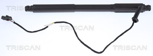 Gasfeder, Koffer-/Laderaum TRISCAN 871011303