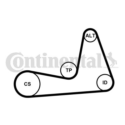 Keilrippenriemensatz CONTINENTAL CTAM 6PK1130K1