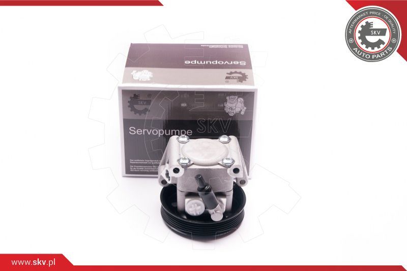 Servopumpe Hydraulikpumpe ESEN SKV 10SKV219