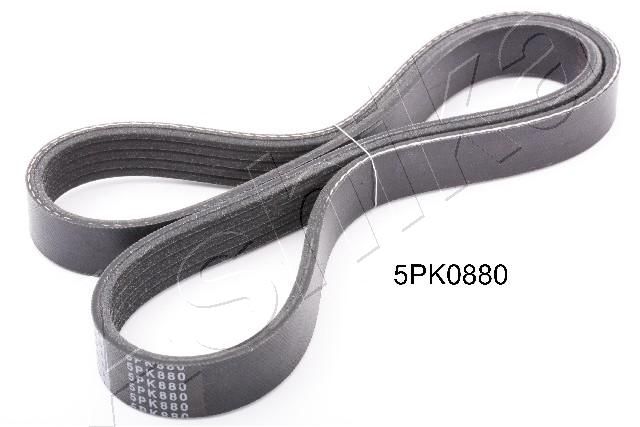 Keilrippenriemen Ashika 112-5PK880