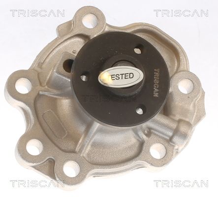 Wasserpumpe TRISCAN 8600 69014