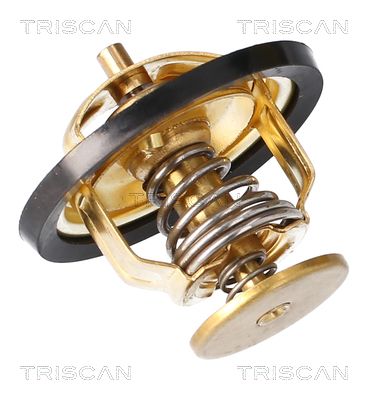 Kühlwasserthermostat TRISCAN 8620 3282