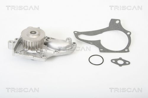Wasserpumpe TRISCAN 8600 13990