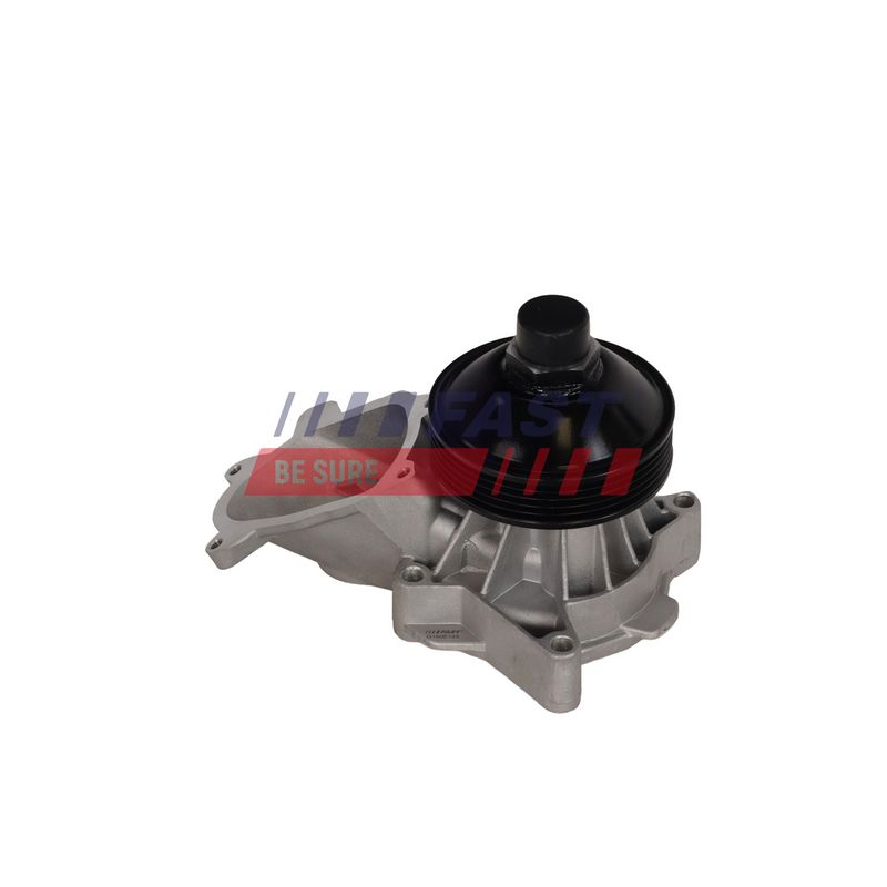 Wasserpumpe, Motorkühlung FAST FT04475