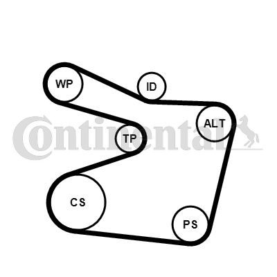 Keilrippenriemensatz CONTINENTAL CTAM 6PK1555K1