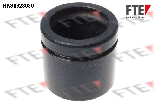 Kolben, Bremssattel FTE 9313210