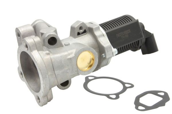 Egr-Ventil ENGITECH ENT500030