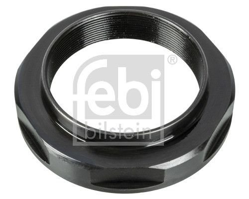 Mutter, Achszapfen FEBI BILSTEIN 172575