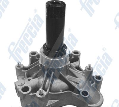 Wasserpumpe, Motorkühlung FRECCIA WP0554
