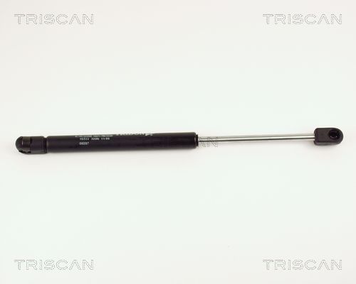 Heckklappendämpfer TRISCAN 8710 16225