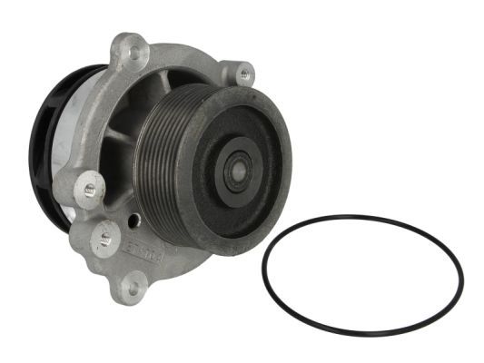 Wasserpumpe, Motorkühlung THERMOTEC WP-DF113