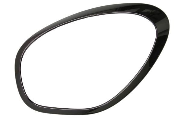 Rahmen, Hauptscheinwerfer BLIC 6502-07-4003993P
