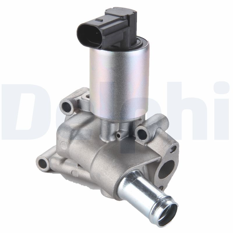 AGR-Ventil DELPHI EG10289-12B1