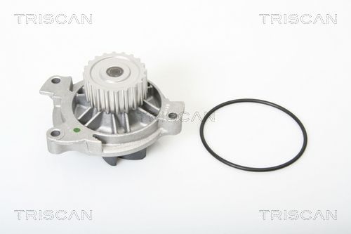 Wasserpumpe TRISCAN 8600 29025