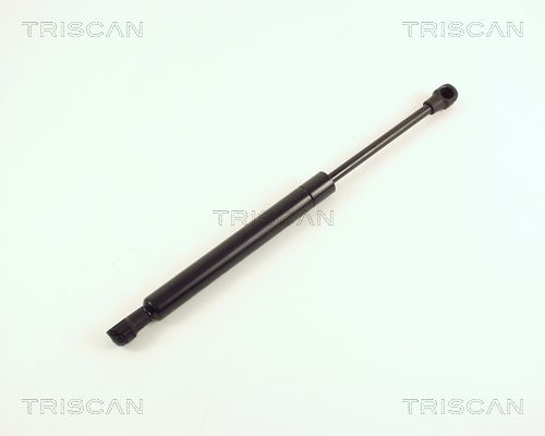 Heckklappendämpfer TRISCAN 8710 16231
