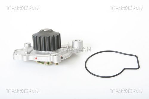 Wasserpumpe TRISCAN 8600 40908