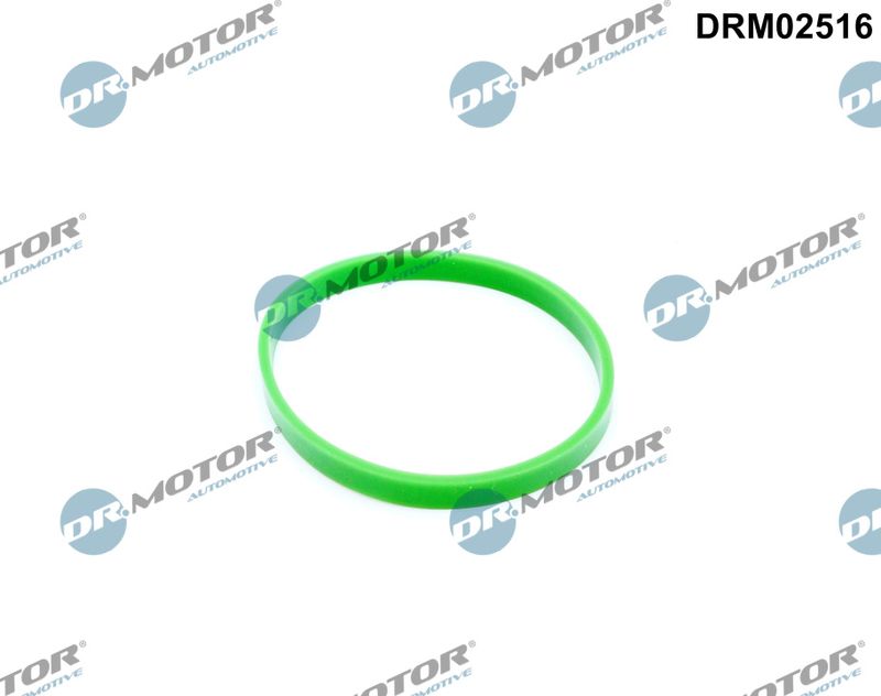 Ansaugkrümmerdichtung Dr.Motor Automotive DRM02516