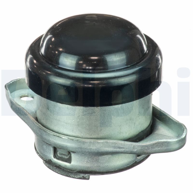 Lagerung, Motor DELPHI TEM077