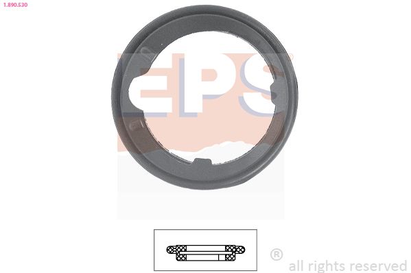 Dichtung, Thermostat EPS 1-890-530