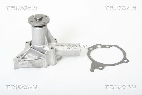Wasserpumpe TRISCAN 8600 42816