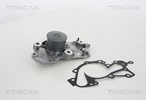 Wasserpumpe TRISCAN 8600 43015