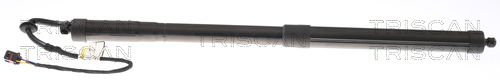 Heckklappendämpfer TRISCAN 8710 20303