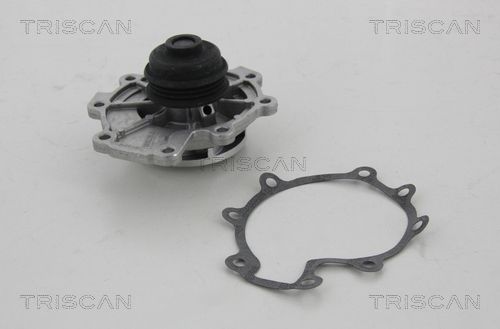 Wasserpumpe TRISCAN 8600 16014