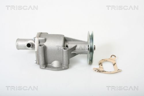 Wasserpumpe TRISCAN 8600 15969