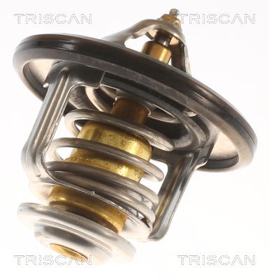 Kühlwasserthermostat TRISCAN 8620 8082